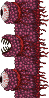 File:100px-Wall of Flesh.png