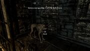 Dexternus death hound