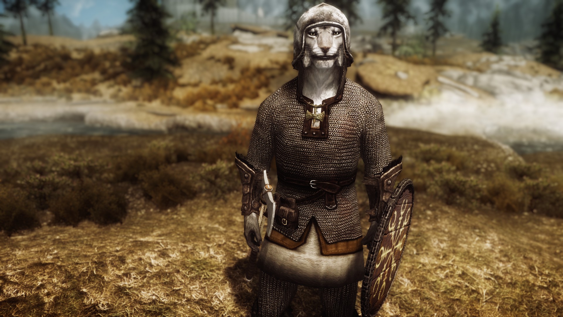 Image - Viking Chainmail Armor.jpg - The Elder Scrolls Mods Wiki - Wikia