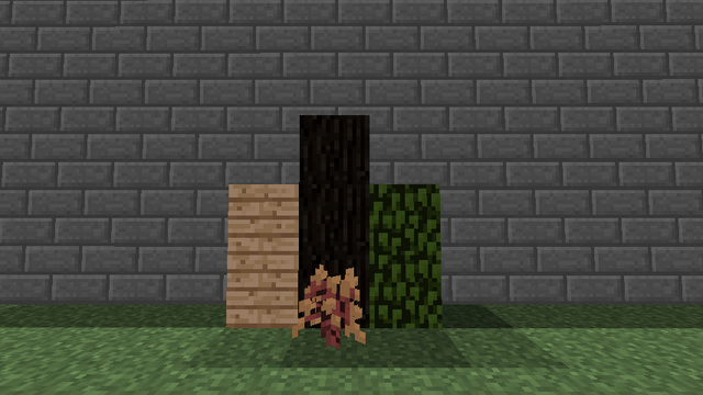 File:Douglas Fir.png