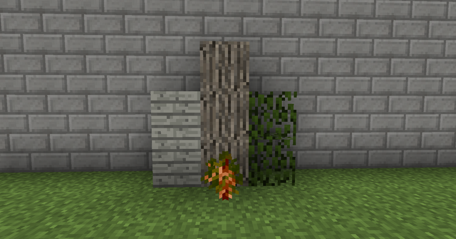 File:White Cedar.png