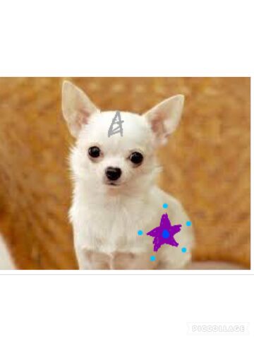 File:Elory-love-star.jpeg