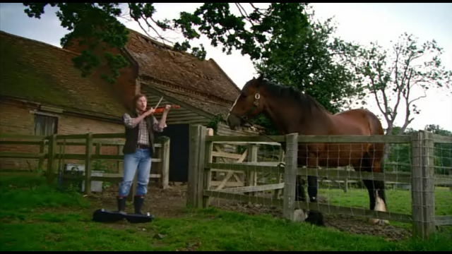 File:Farmerhorseviolin.png