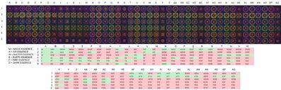 Seal Combo Table