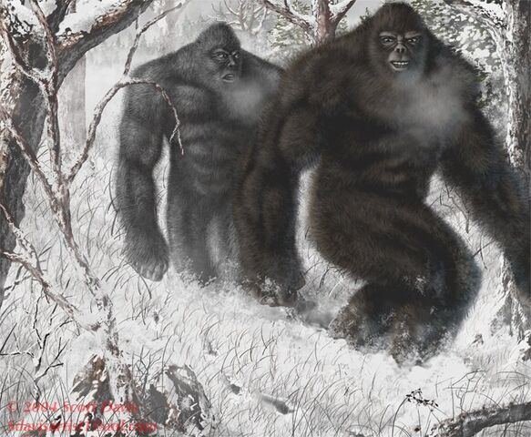 File:Sasquatch (2).jpg