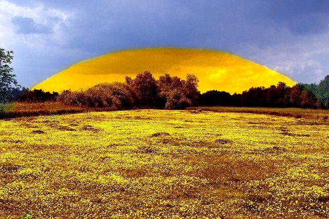File:Bonum Meadow Shield2.jpg