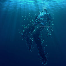 Drowning Phoenix