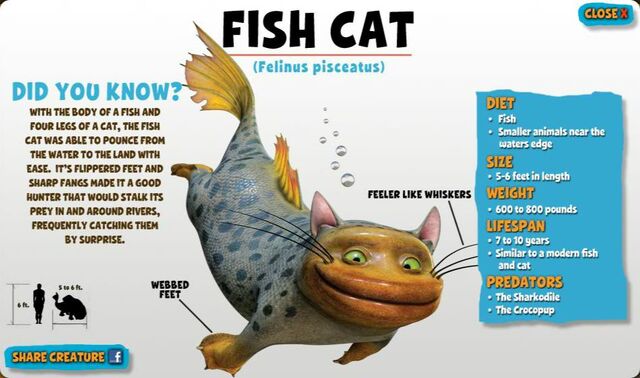 File:Fish Cat.jpg