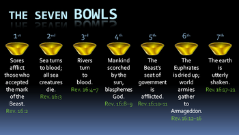 Seven bowls