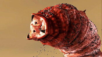 Mongolian Death Worm