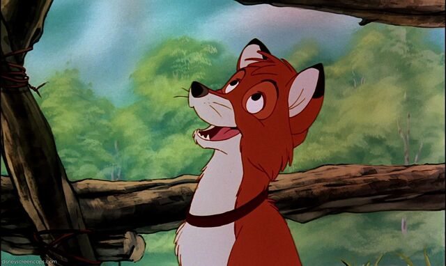 File:Fox1-disneyscreencaps.com-4177.jpg