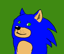 Sanik