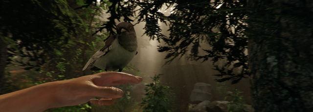 Fichier:Birdhand.png