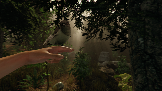 Файл:TheForest-Birdy.png