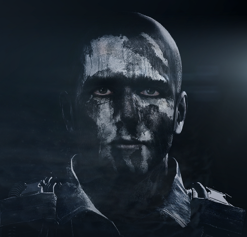 Datei:CoD Ghosts.png