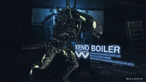 Boiler