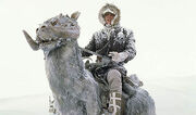 450px-Tauntaun
