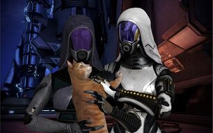Quarians and cat