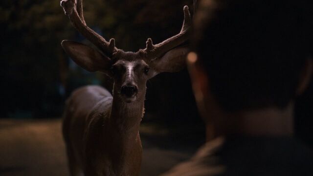 File:1x01 KevinAndTheDeer.jpg