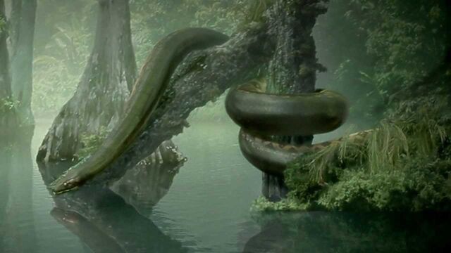 File:Titanoboa.jpg