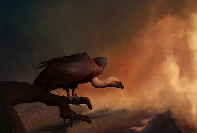 File:Vulture 3.jpg