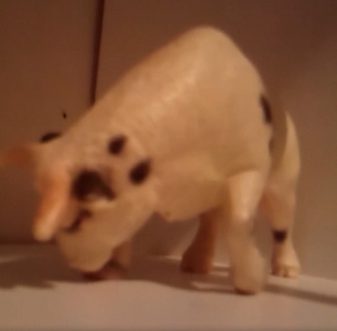 File:Bull original.png