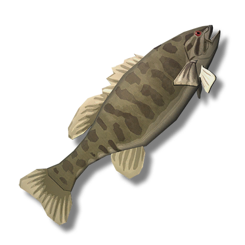 Файл:Smallmouthbass.png