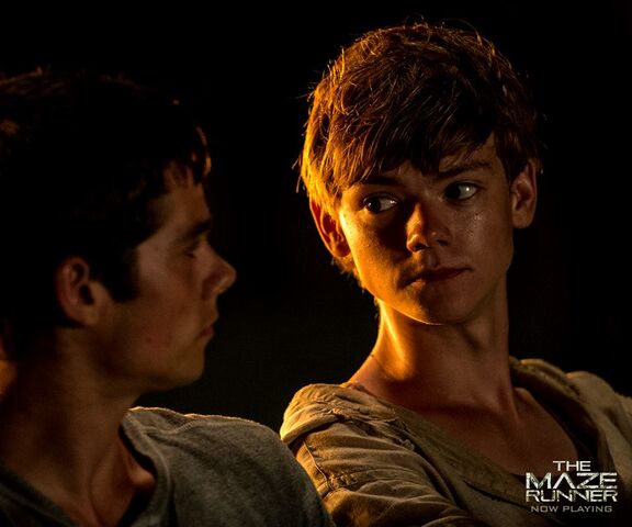 Fichier:Newt 2.jpg