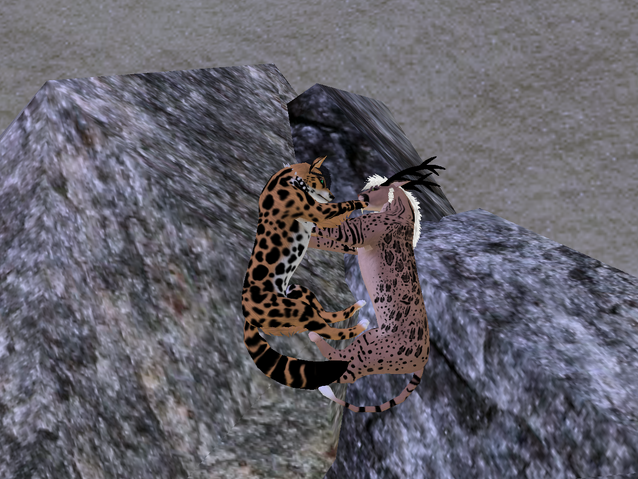 File:Screenshot 07232014 153942773.png