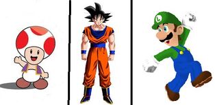 The Team
