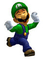 Luigi Move 1