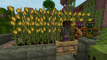 TauredainCornFarm