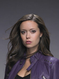 Summerglau 1236809506