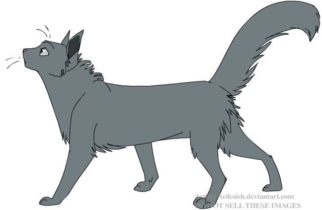 File:Cougarpaw.jpg