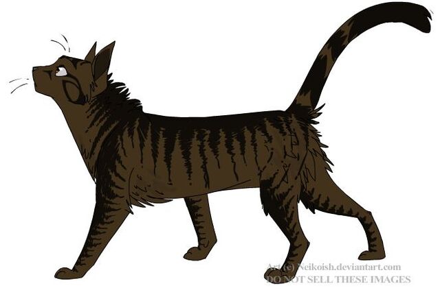 File:Stripebelly.jpg