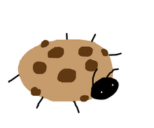 CookieBeetle