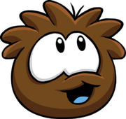 Cocoa