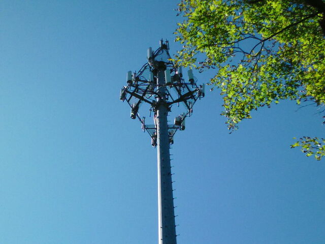 File:Antenna photograph.jpg