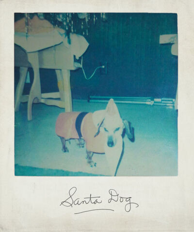 File:Real Santa Dog 1972.jpg