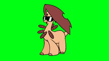 Bayleaf 5
