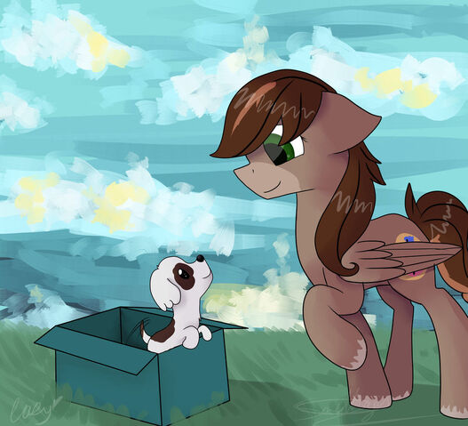 File:Fallen's Gift.jpeg