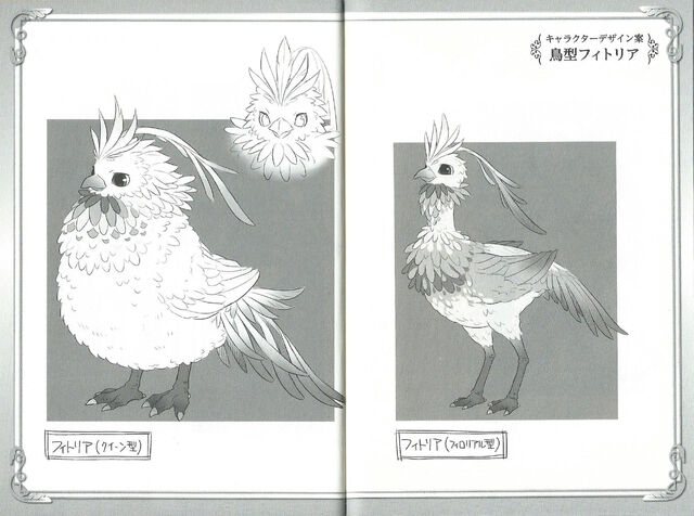 File:Fitoria Bird.jpg