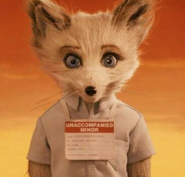 Kristofferson Silvefox