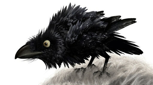 The Crow
