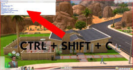 Cheat 1