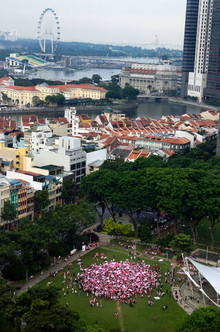 File:PinkDot2009.jpg