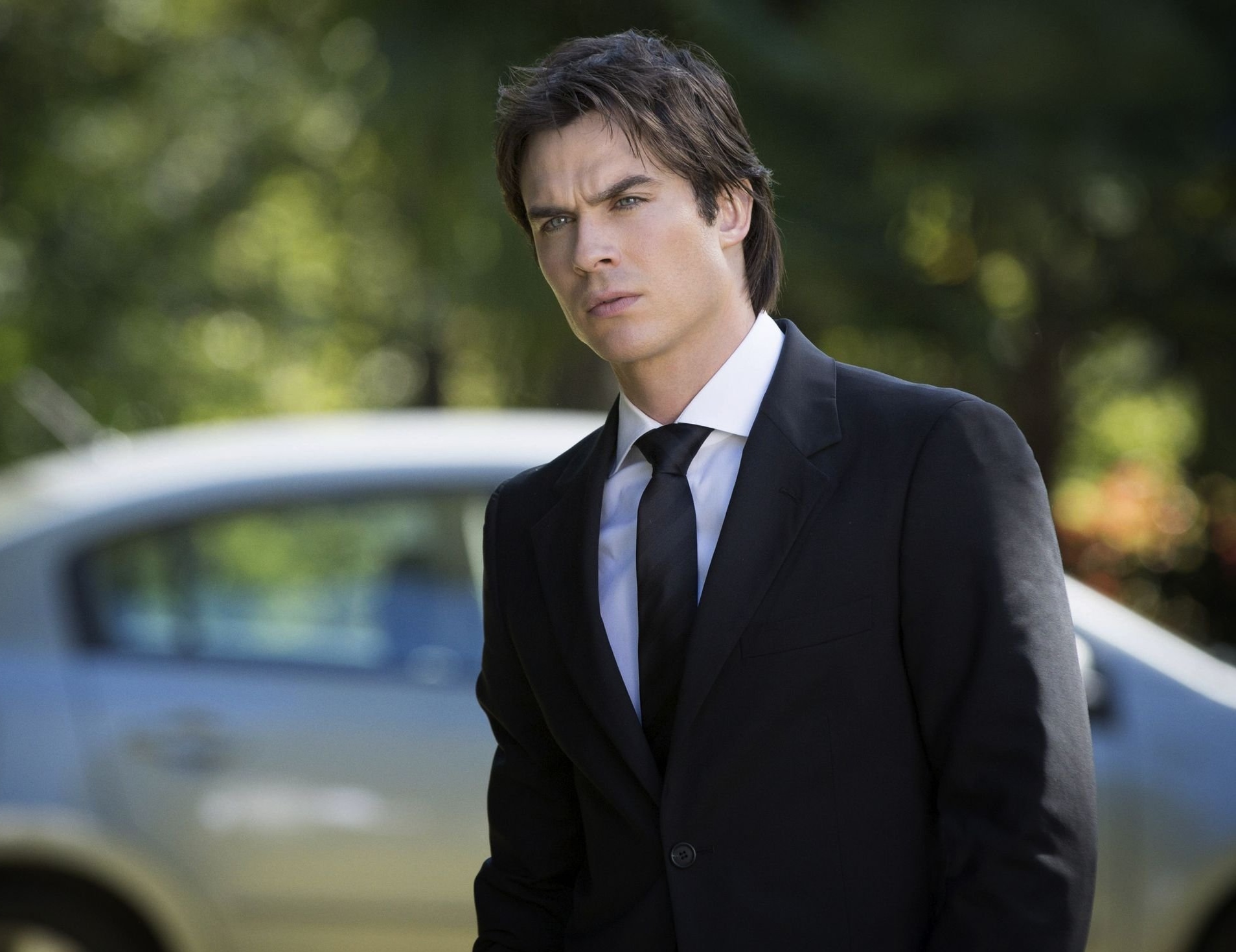 Damon Salvatore The Vampire Diaries Fanfiction(OHK) Wikia FANDOM