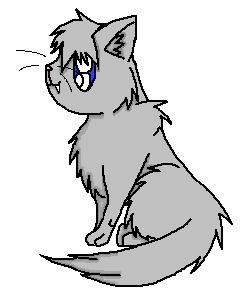File:Graycat.jpg
