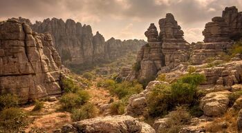 Southern Tashar