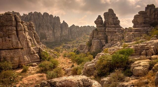 File:Southern Tashar.jpg